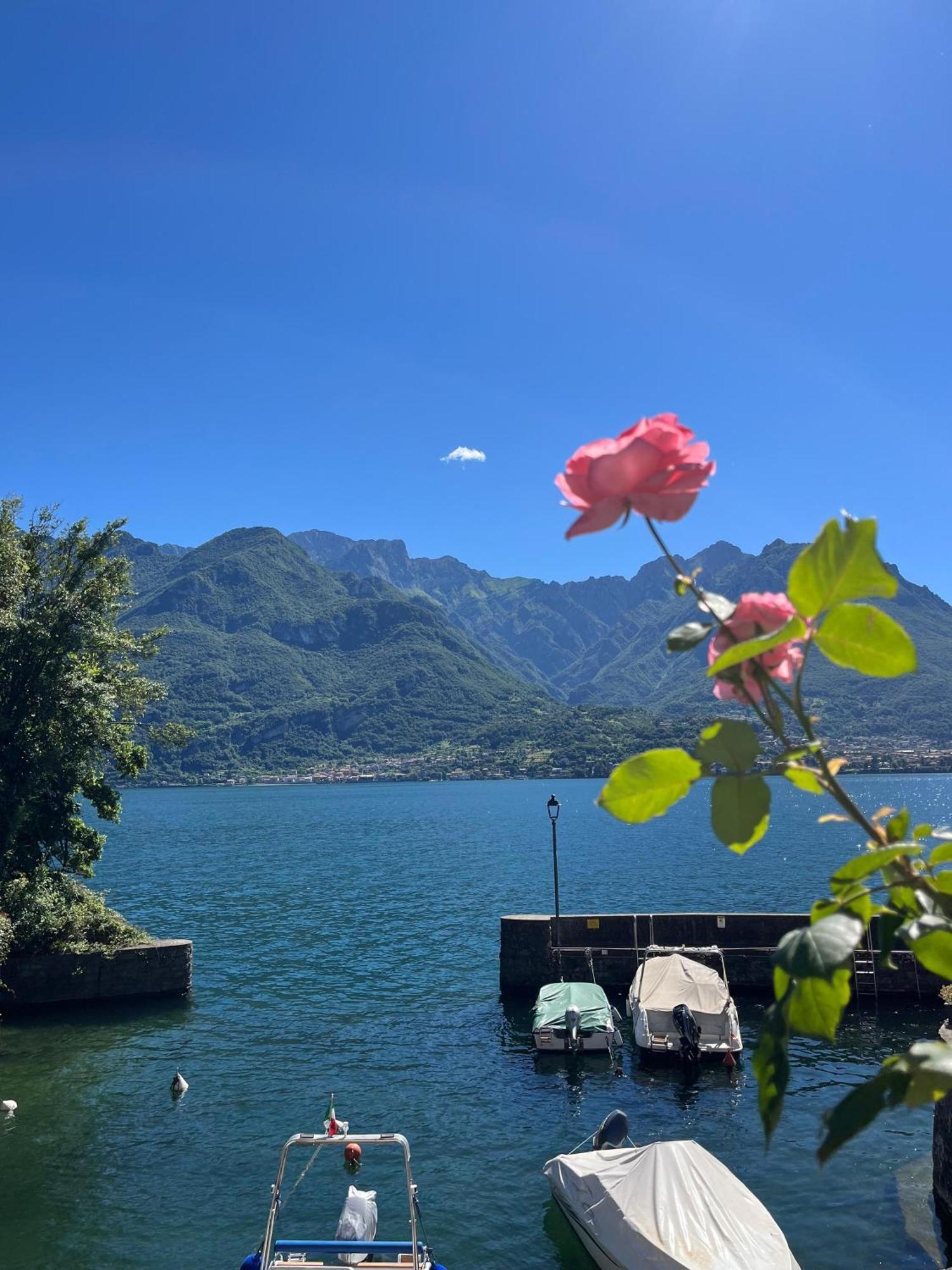 Domus Graziana - Lake Front Oliveto Lario Eksteriør billede