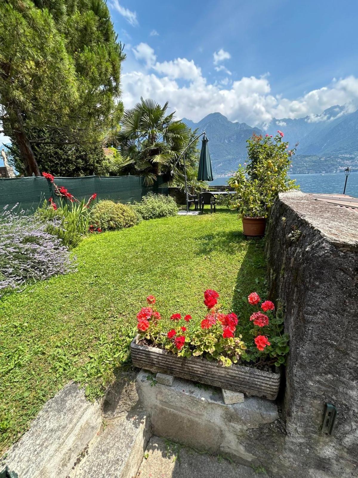 Domus Graziana - Lake Front Oliveto Lario Eksteriør billede